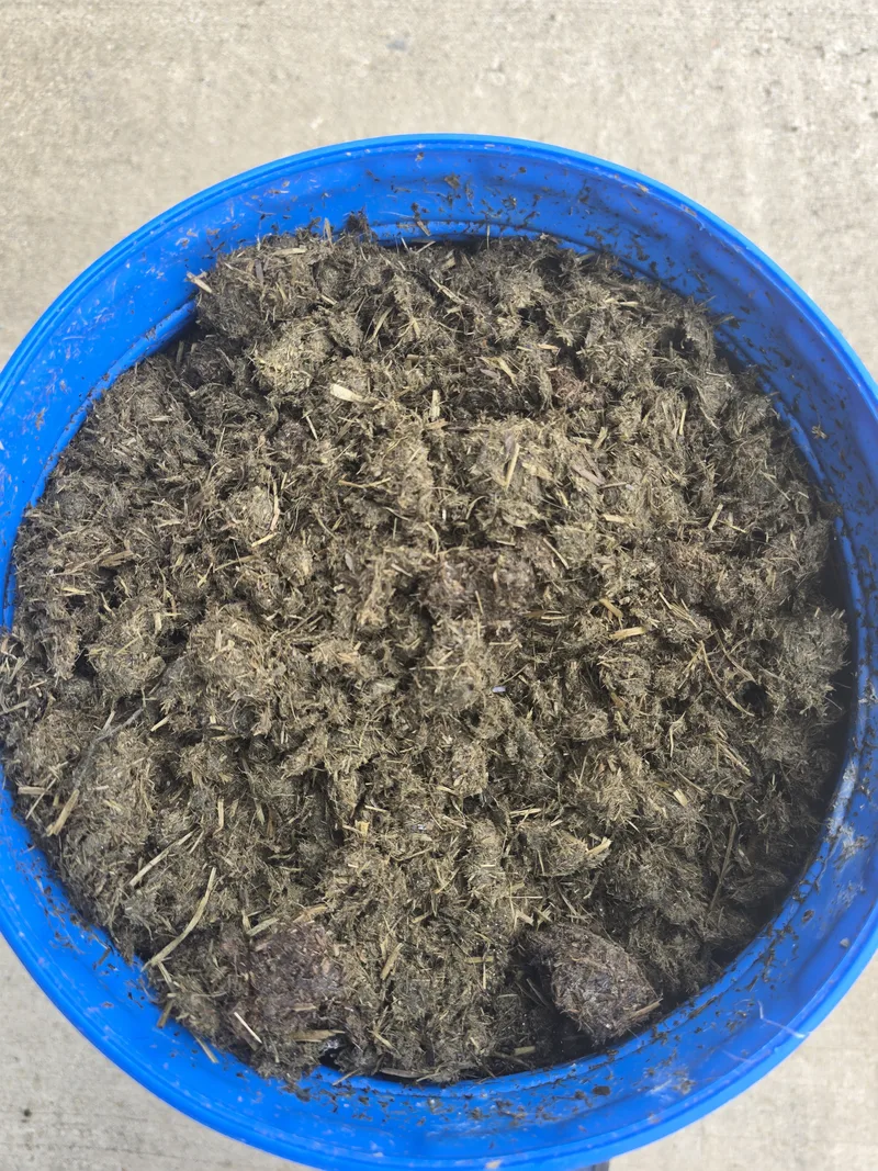 Before: Digestate fibre: wet, fibrous and hard to handle.